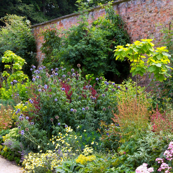 How to create beautiful garden borders using perennial plants