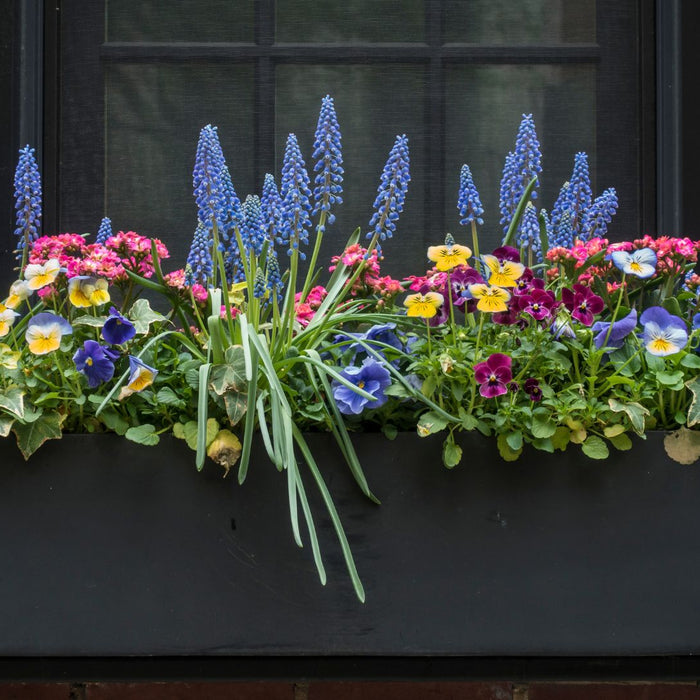 Elevate Your Space: The Art of Crafting Stunning Window Boxes