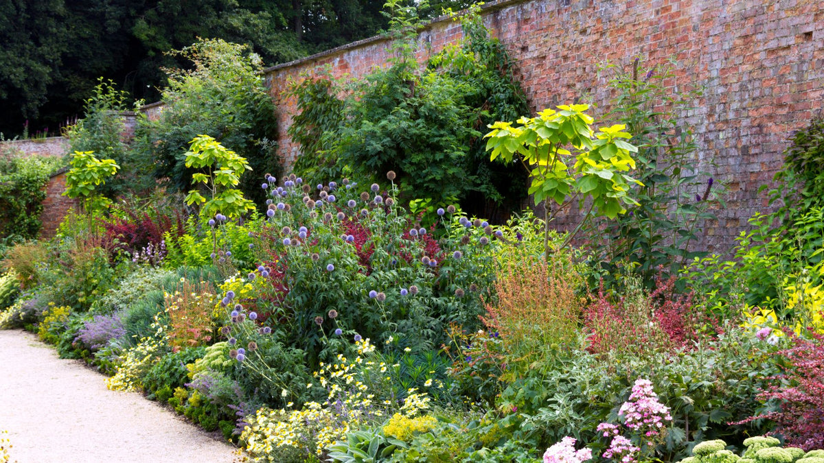 How to create beautiful garden borders using perennial plants ...