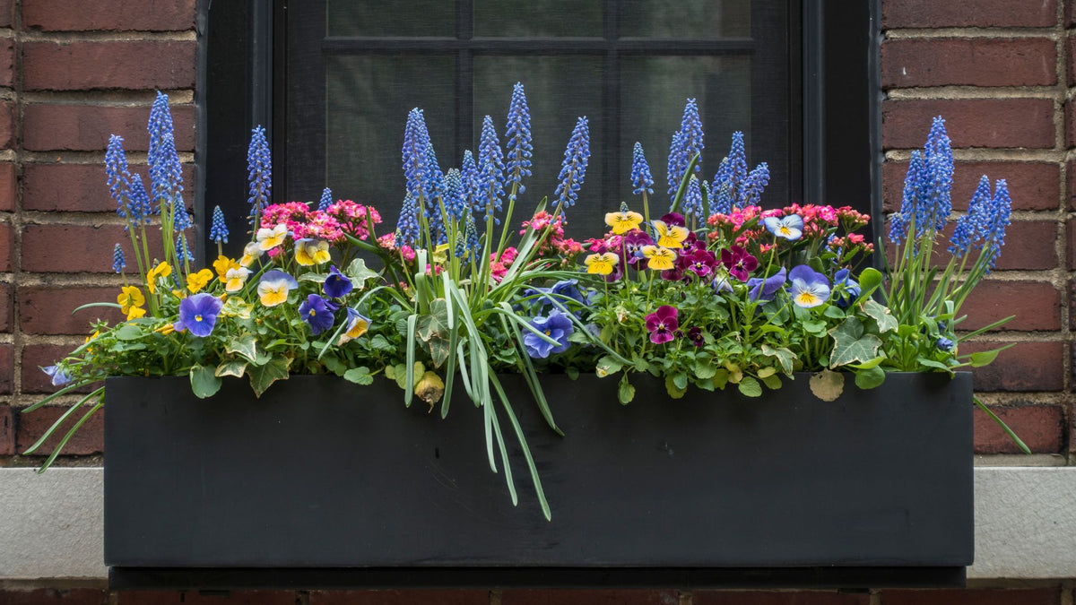 Elevate Your Space The Art of Crafting Stunning Window Boxes