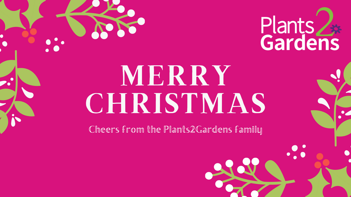 A Very Merry Christmas to our Wonderful Bunch Plants2Gardens