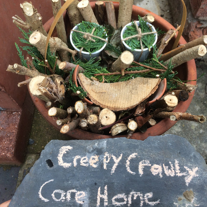 Pollen Party and Beneficial Bugs