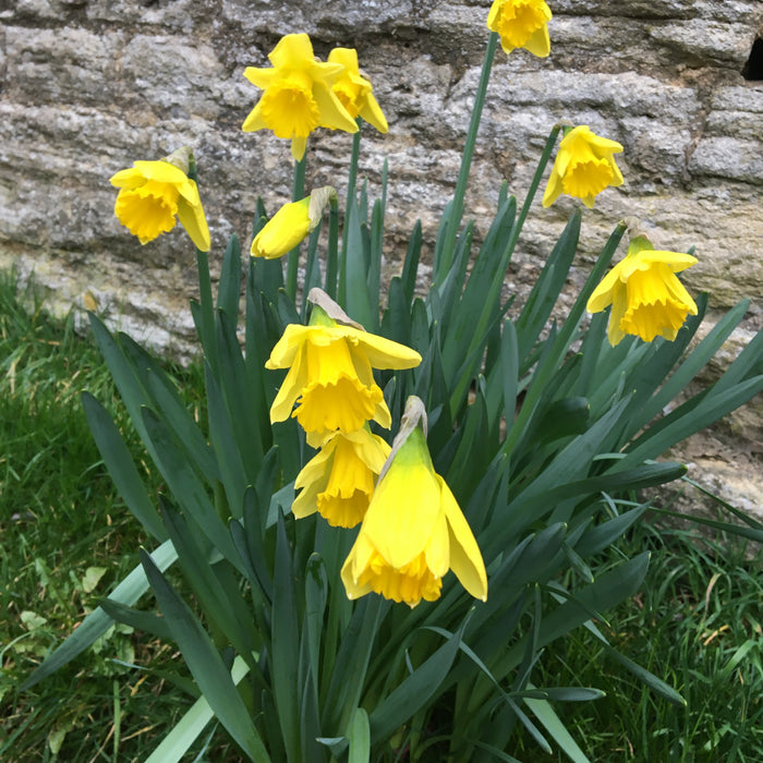 How to feed and rejuvenate tired containers