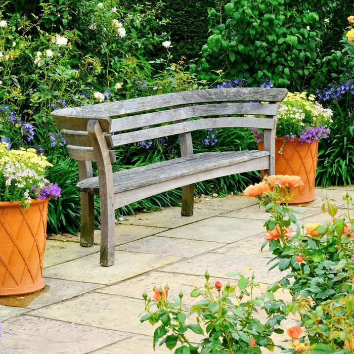 Transform Your Patio This Summer: The Best Bedding Plants & Perennials for a Stunning Display