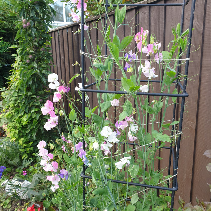 How to water garden plants