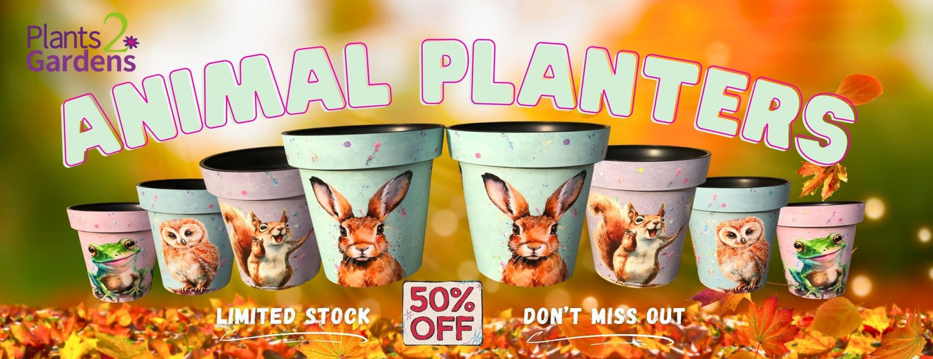 Animal Planters