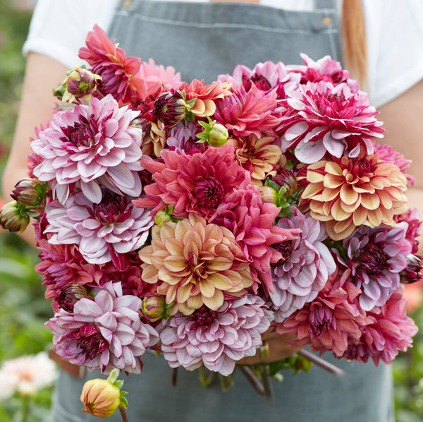 741823Cocktailmix1_grande.jpg?