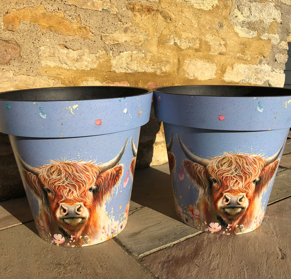 cow planter pot Buy Highland Cow Planters Online For Only £60 — Plants2Gardens