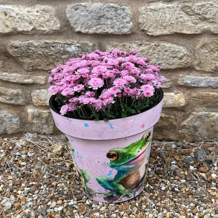 Freddie Frog Planter Pair