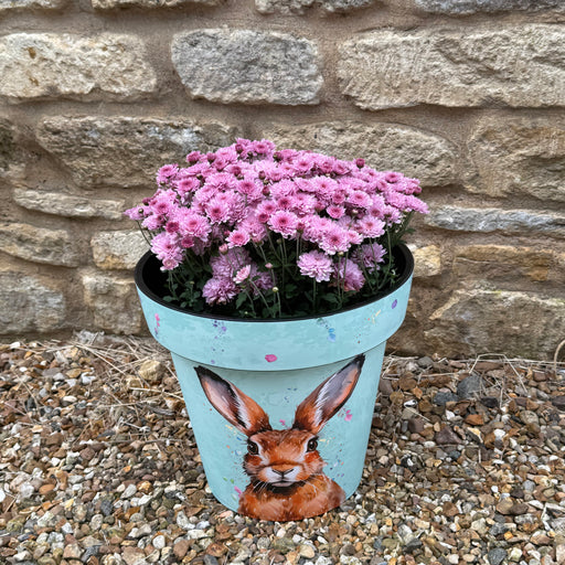 hare plant pot Buy Hare Planters Online For Only £60 — Plants2Gardens