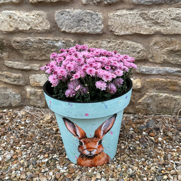 Harry Hare Planter Pair
