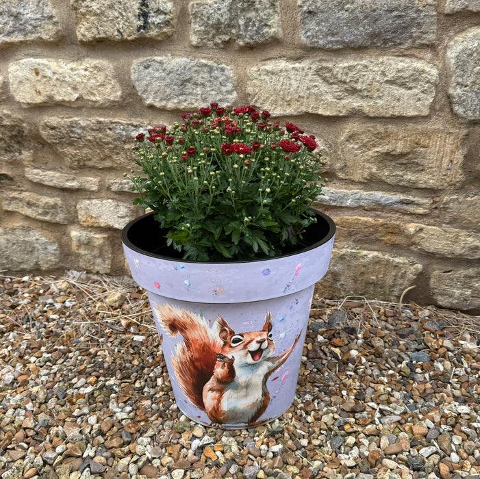 Sammy Squirrel Planter Pair
