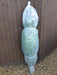 Nordmann Cut Christmas Tree Non Needle Drop - Plants2Gardens