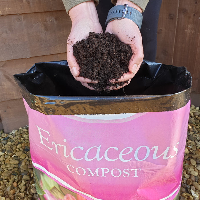Ericaceous Compost 2x 25 Litres - Plants2Gardens