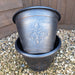 Fleur Des Lys Planter Pair Copper - Plants2Gardens