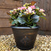 Fleur Des Lys Planter Pair Copper - Plants2Gardens