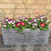 Slate Effect Trough- Despatch From WC 14th February - Plants2Gardens
