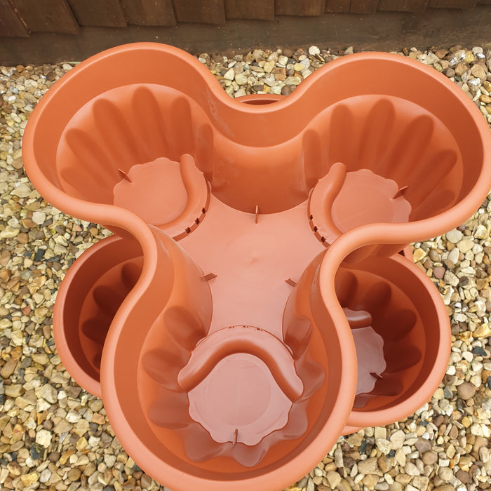 Strawberry Planter and 12 Strawberry Elsanta Plants - Plants2Gardens