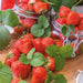 Strawberry Late Fenella 12 Plant Pack - Plants2Gardens