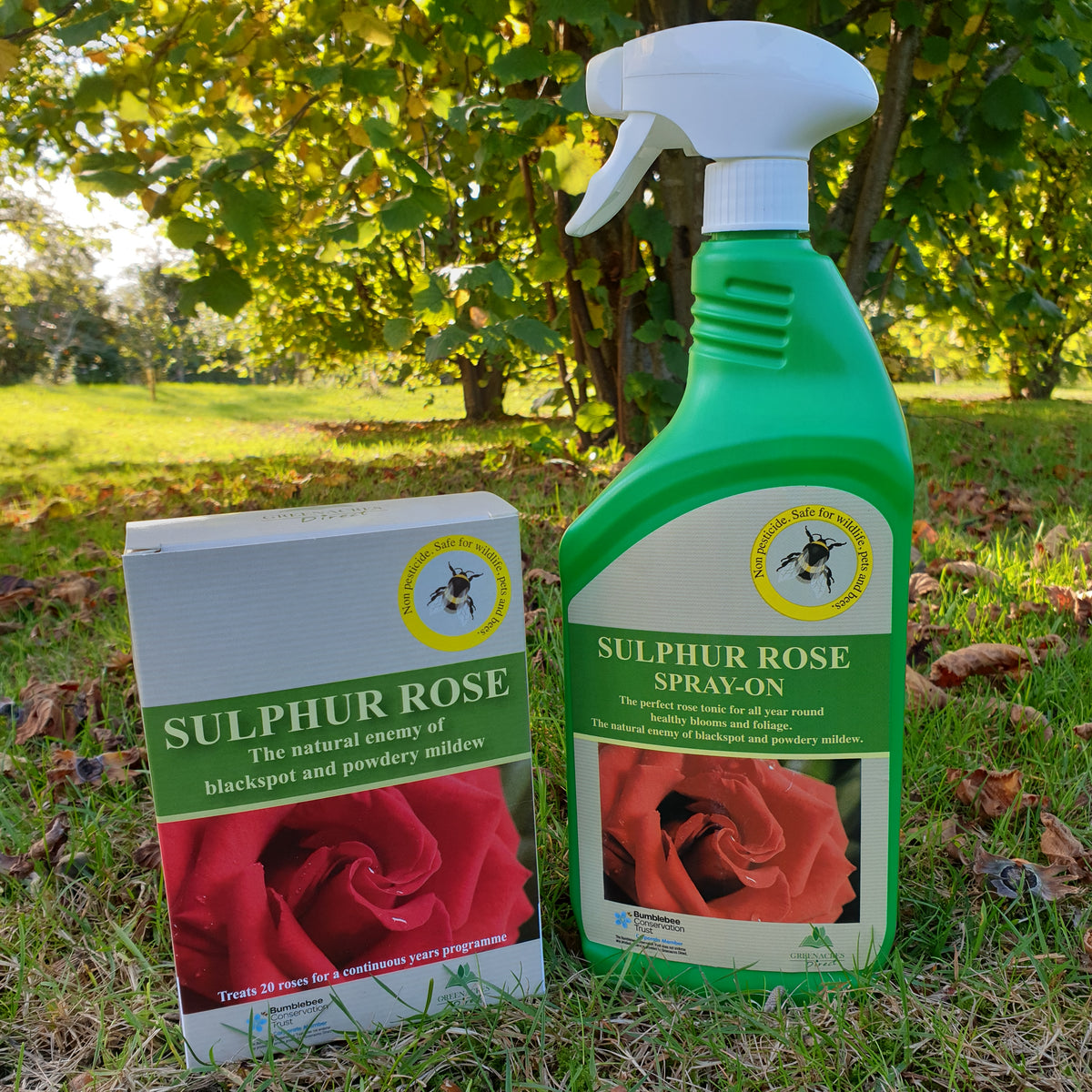 Sulphur Rose Spray and Refill £27.00 by Plants2Gardens