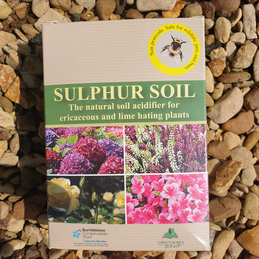 Complete Blueberry Bluegold, Sulphur Soil and Container Set - Plants2Gardens