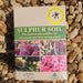 Complete Blueberry Bluegold, Sulphur Soil and Container Set - Plants2Gardens