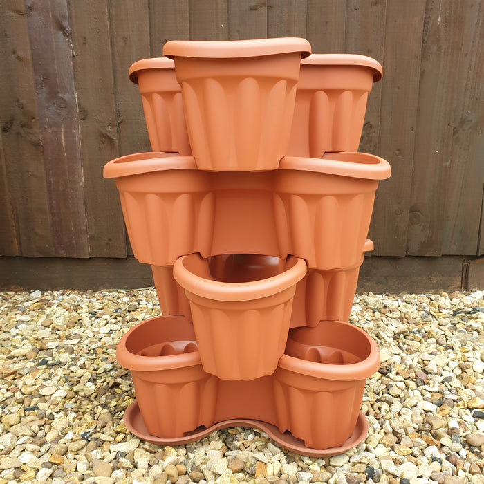 Strawberry Planter and 12 Strawberry Elsanta Plants - Plants2Gardens
