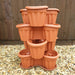 Strawberry Planter and 12 Strawberry Elsanta Plants - Plants2Gardens