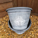 Fleur Des Lys Planter Pair Silver - Plants2Gardens