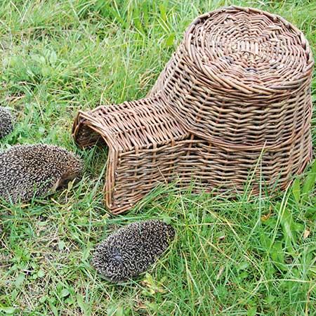 Hedgehog House - Plants2Gardens