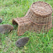 Hedgehog House - Plants2Gardens